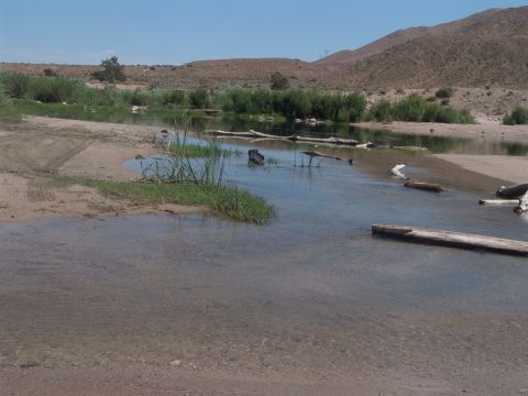 1995 Ford Bronco - Crossing a shallow river with logs and tire tracks visible on the bank.