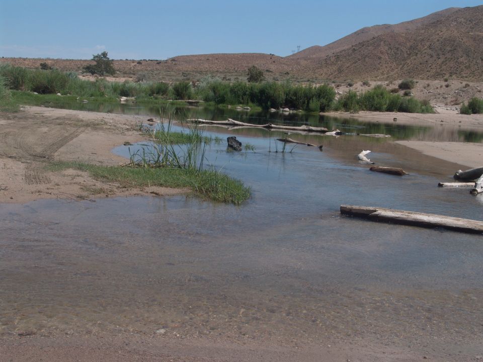 Tire tracks on sandy bank leading into a shallow river with logs scattered in the water. Hills and brush in the background