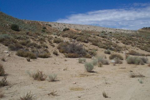 1995 Ford Bronco - A dry, arid landscape with sparse vegetation under a clear blue sky.