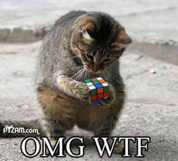 2001 Ford Crown Victoria - A cat intently focuses on solving a Rubik's Cube, with text overlay 'OMG WTF'.