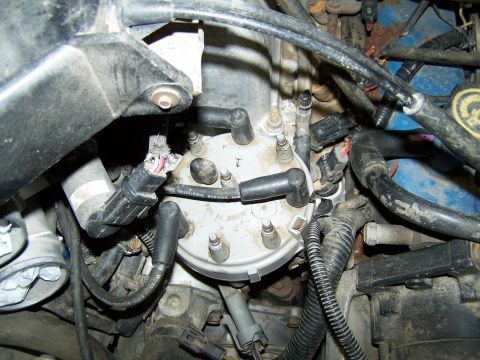 1989 Ford Bronco - Close-up view of an engine's distributor cap and spark plug wires.