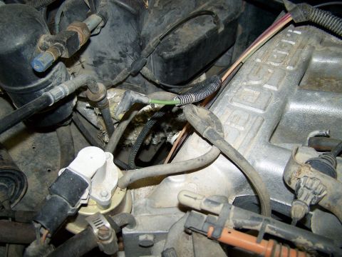 1989 Ford Bronco - Engine bay components including hoses, wiring, and a metal intake manifold are visible.