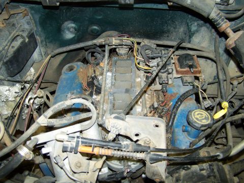 1989 Ford Bronco - The engine bay of a vehicle, showing blue valve covers and numerous wires and hoses.