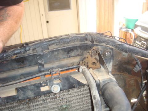 Close-up of radiator, hoses, and wiring in an engine bay. A person's arm is visible on the left