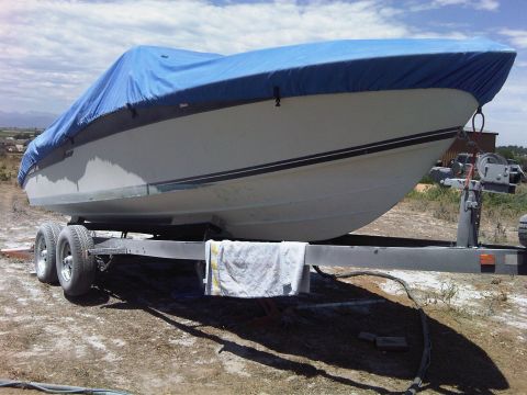 1988 Sea Ray Sundancer 268 “Ragazza”