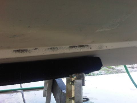 1988 Sea Ray Sundancer 268 “Ragazza”