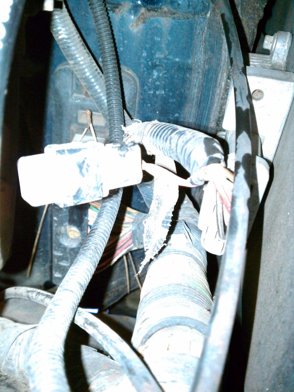Close-up of vehicle wiring harness and white connector