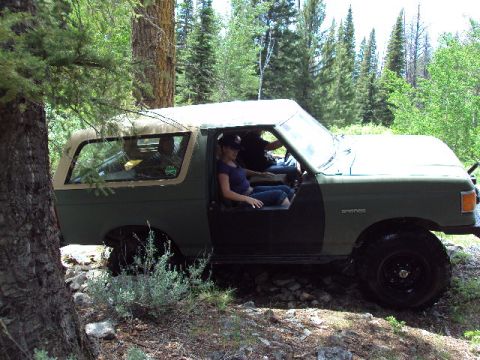 1989 Ford Bronco - A green Ford Bronco with a tan top sits in a wooded area, its door open.