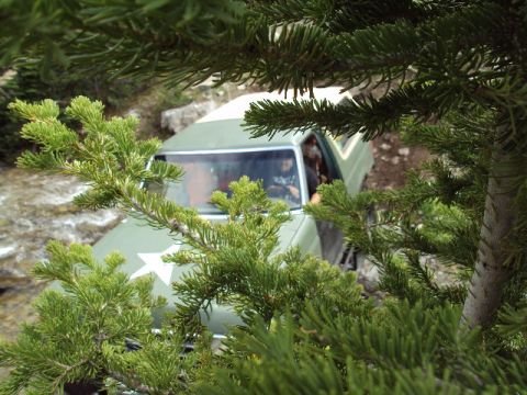 1989 Ford Bronco - A green SUV with a white star on its fender navigates a rocky trail, partially obscured by pine branches.