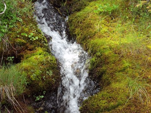1989 Ford Bronco - A close-up view of a small stream cascading over moss-covered rocks in a natural setting.