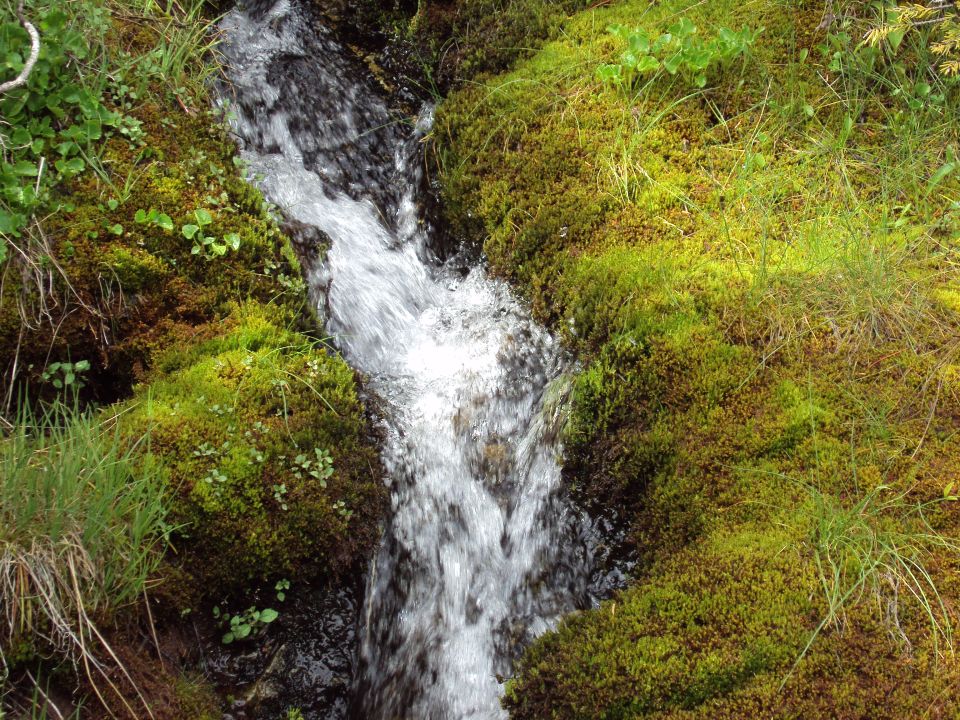 small stream running over mossy rocks, with SUPERMOTORS.NET logo at bottom right