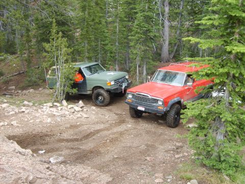 1989 Ford Bronco - Two off-road SUVs navigate a wooded trail, with one vehicle sporting a distinctive star emblem on its hood.