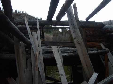 1989 Ford Bronco - The interior of a decaying log structure reveals broken timbers and a view of the surrounding wilderness.