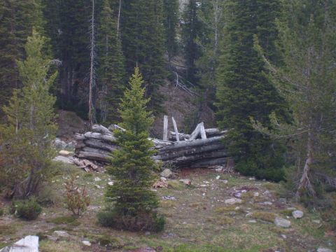 1989 Ford Bronco - Abandoned log cabin structure surrounded by dense pine forest and rocky terrain.