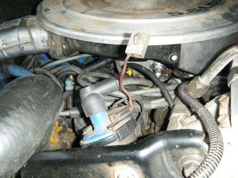 1985 Ford Bronco - Close-up of a 1985 Ford Bronco engine bay, detailing the air cleaner and associated engine components.