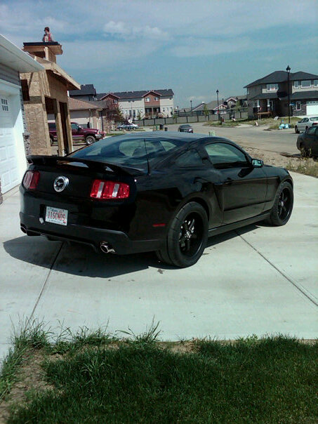 2011 Ford Mustang - A black Ford Mustang is parked in a suburban driveway on a sunny day.