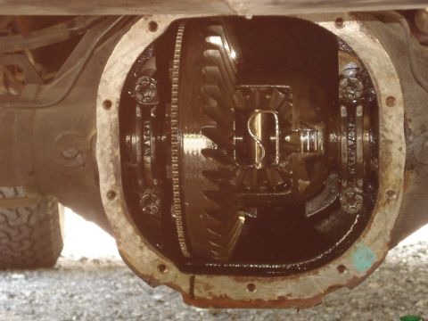 1988 Ford Bronco - Close-up view of the internal gears within a vehicle's rear differential.