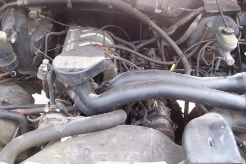 1988 Ford Bronco - The engine bay of a 1987 Ford Bronco is visible, with various hoses and engine parts.