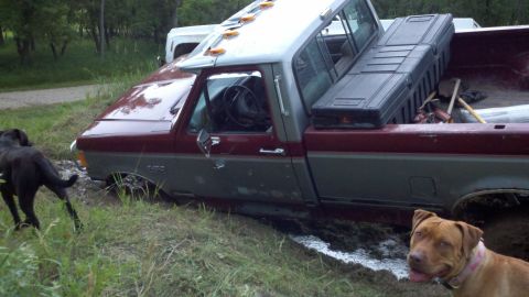 1988 Ford F-150 - A maroon and gray Ford F-150 is stuck in the mud with two dogs present.