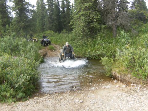 2000 Ford E350 - ATVs crossing a stream in a wooded area with dense foliage.
