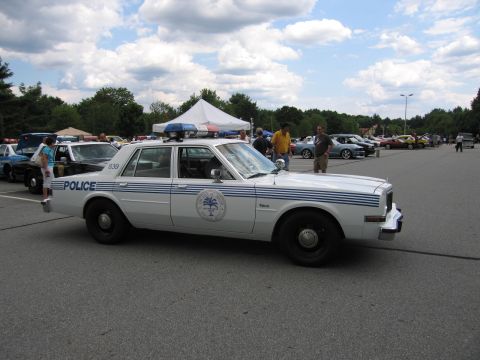 1991 Ford LTD Crown Victoria - white Dodge police sedan with blue stripes and a palm-tree door emblem, roof light bar, parked at an outdoor car show.