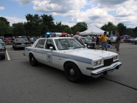 1991 Ford LTD Crown Victoria - Front three-quarter view of a white Dodge police car with blue stripes and palm emblem, light bar, at a busy outdoor car show.