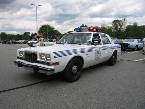 1991 Ford LTD Crown Victoria - white Dodge police sedan with blue side stripes, palm-tree crest, and roof light bar parked at an outdoor car show.
