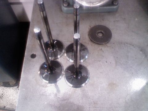 1979 Ford Bronco - Four freshly ground engine valves standing head-down on a machine shop bench top, their faces and stem tips showing bright polished ground…