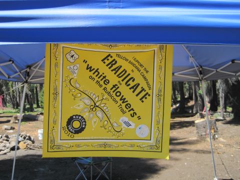 1989 Ford Bronco - Yellow bandana promoting a campaign to eradicate invasive plants on the Rubicon Trail.