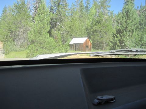 1989 Ford Bronco - A small, rustic wooden shed stands in a sunlit clearing surrounded by dense green trees.