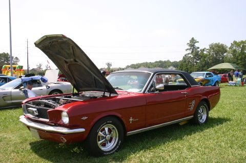 1968 Shelby GT500 - A red 1965 Ford Mustang coupe is displayed with its hood open at a car show, with other vehicles visible in the background.