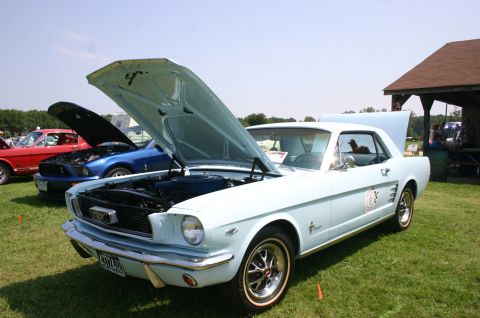 1968 Shelby GT500 - A light blue 1965 Ford Mustang coupe is displayed with its hoods open at a car show, with other vehicles visible in the background.