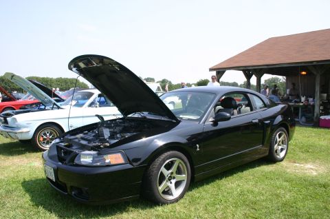 1968 Shelby GT500 - A black coupe, likely a Mustang from the early 2000s, is displayed with its hood open at a car show.