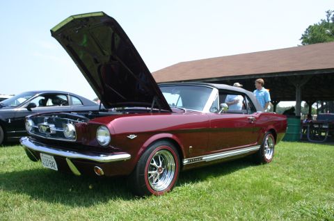 1968 Shelby GT500 - Red 1965 Ford Mustang convertible at a car show with hood open.