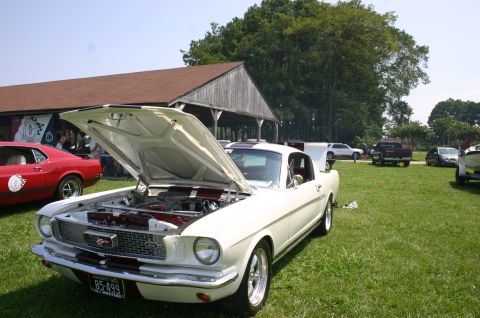 1968 Shelby GT500 - White 1965 Ford Mustang coupe at a car show with its hood open, revealing the engine bay.