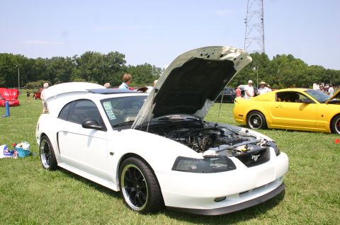 1968 Shelby GT500 - A white Ford Mustang is displayed with its hood and trunk open at a car show, with a yellow Mustang visible in the background.