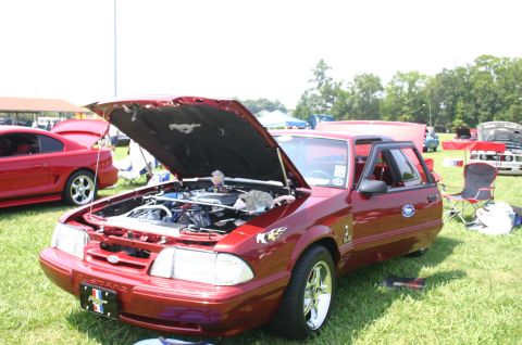 1968 Shelby GT500 - A red 1993 Ford Mustang GT is displayed with its hood open, revealing the engine and an unexpected visitor.