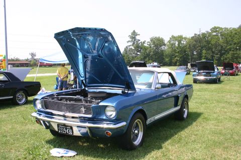 1968 Shelby GT500 - Blue 1966 Ford Mustang convertible at a car show, hood open, with other vehicles in the background.