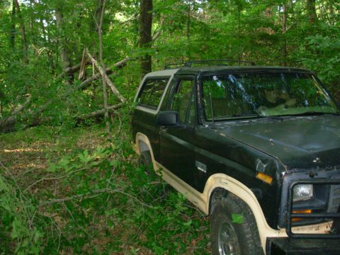 1983 Ford Bronco - This vehicle appears to be parked in a forest with trees and foliage surrounding it.