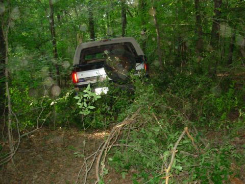 1983 Ford Bronco - A 1980s Ford Bronco is seen off-road, partially hidden by dense vegetation.