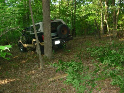 1983 Ford Bronco - 1983 Ford Bronco navigating a wooded area, spare tire visible on the back.