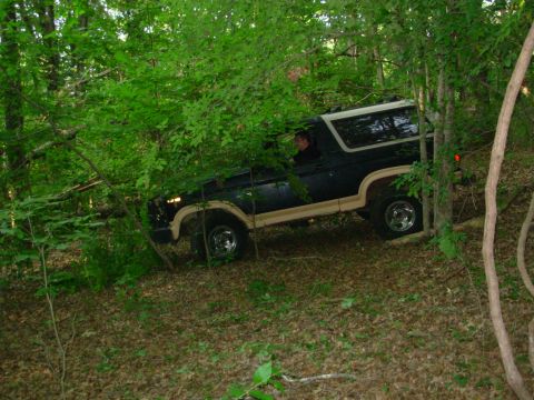1983 Ford Bronco - A dark blue and tan Ford Bronco navigates a wooded area with dense foliage.