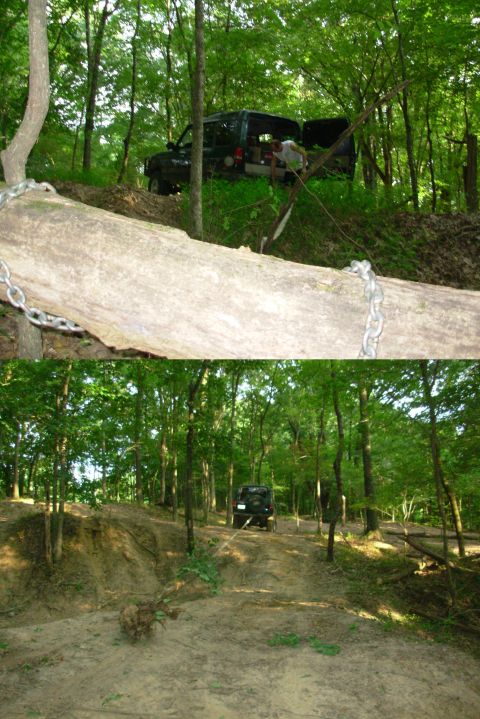 1983 Ford Bronco - A vehicle navigates a challenging off-road trail through a dense forest.