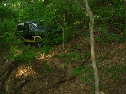 1983 Ford Bronco - A black 1983 Ford Bronco is seen off-road, partially obscured by dense green foliage on a wooded hillside.