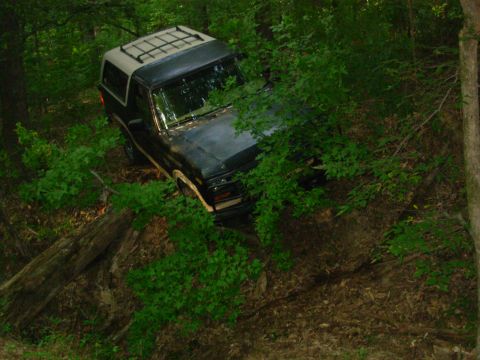1983 Ford Bronco - This Ford Bronco appears to be navigating a steep, wooded trail.