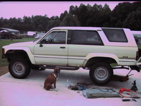 1992 Ford Mustang - A boxer dog sits next to a white Toyota 4Runner that is being worked on, with a jack under the rear axle.
