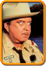 1996 Ford Bronco - Portrait of a man in a uniform, possibly a park ranger or law enforcement officer.