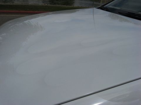 2003 Ford Taurus - Close-up of a white car hood showing subtle ghost flames airbrushed in a slightly off-white tone, visible only as tonal shifts across the c…