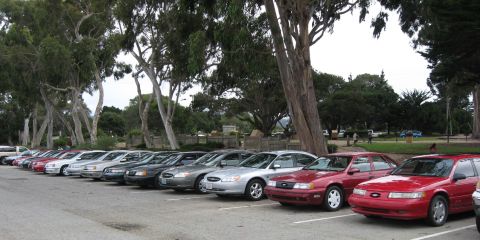2003 Ford Taurus - A long row of Ford Taurus and Mercury Sable sedans from several generations parked nose-out in a park lot under tall eucalyptus trees, with…