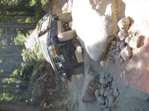 1986 Ford Bronco - A black SUV is overturned on a rocky trail, with trees and a fallen log in the background.